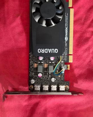 scheda video Nvidia Quadro P2000