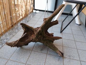 Legno radice per acquario terrario