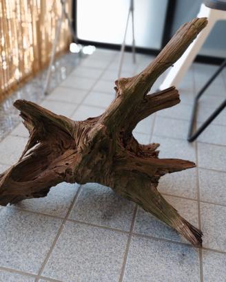 Legno radice per acquario terrario