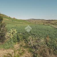 TER. AGRICOLO A TARQUINIA