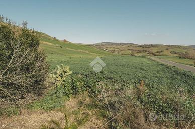 TER. AGRICOLO A TARQUINIA