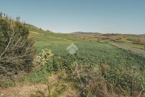 TER. AGRICOLO A TARQUINIA