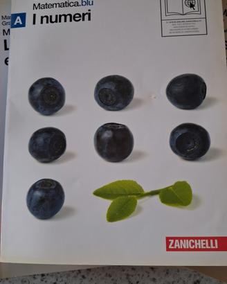 Matematica.blu