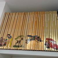 Collezione libri disney