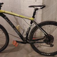 LeeCougan Rampage 29