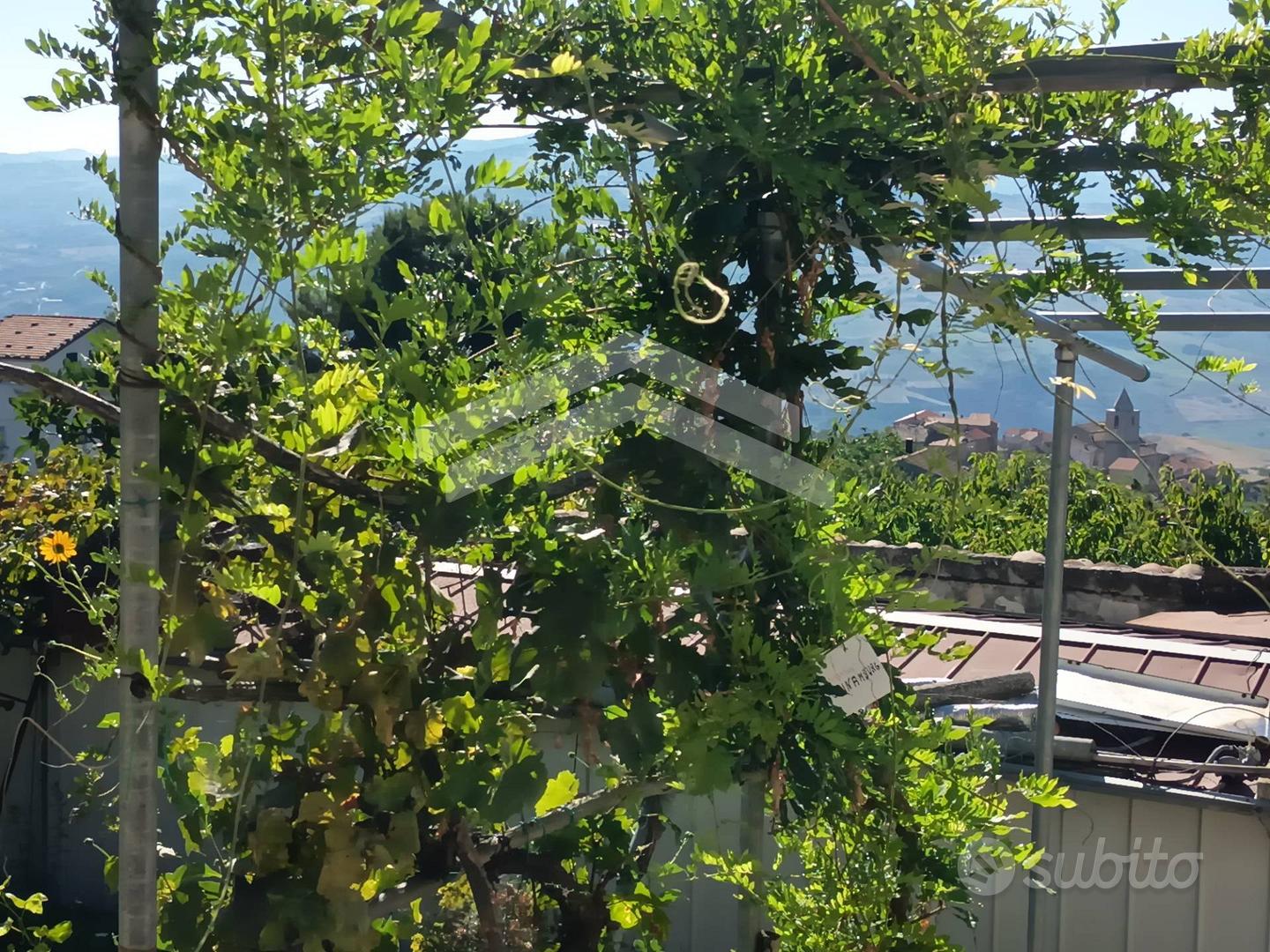 Casa – Civitacampomarano, Campobasso - Vista 4