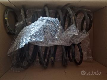 molle Toyota Yaris tsport p1 2002