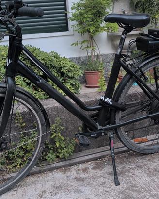 Bicicletta elettrica