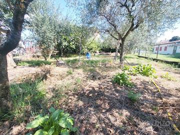 Terreno Agricolo PST/106