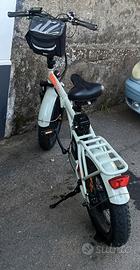 bicicletta elettrica 