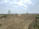 ter-agricolo-a-san-mauro-pascoli