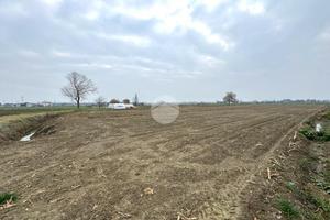 TER. AGRICOLO A SAN MAURO PASCOLI