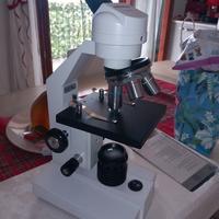 microscopio NOVEX FL 200