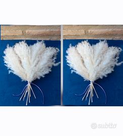 Numero 02 Mazzi Fiori di Pampas