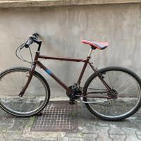 Bici uomo
