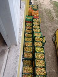 MELE 🌹 dei Sibillini 