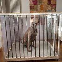Box  per cane di grande dimensione