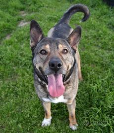 MILAGRO, splendida creatura