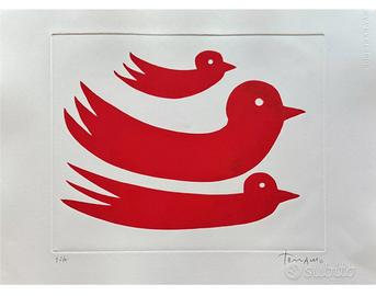 Giuliano Tomaino “volo”