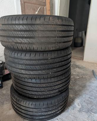 gomme estive 