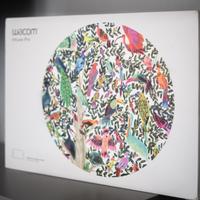 Tavoletta grafica Wacom Pro - pth 660 - A4