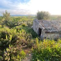 Seminativo e Oliveto c.da Scannabue rif.825