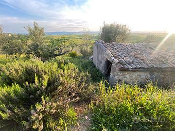 Seminativo e Oliveto c.da Scannabue rif.825