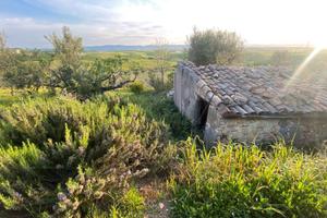 Seminativo e Oliveto c.da Scannabue rif.825