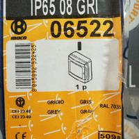 Centralino"BOCCHIOTTI" IP65- 8 moduli linea PABLO
