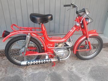 oscar mister college