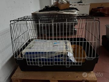 Trasportino cane