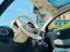Immagine 15