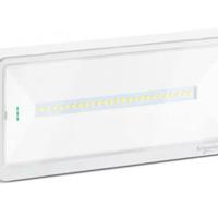 5 Lampade  emergenza  Schneider NUOVE