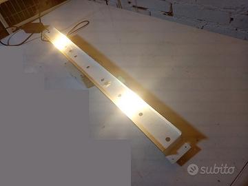 Fotoperiodo per uccelli alba di tramonto notte