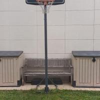 Canestro da Basket regolabilile