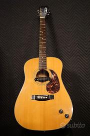 Chitarra acustica vintage SAMICK Amplificata