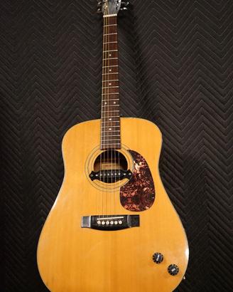 Chitarra acustica vintage SAMICK Amplificata