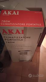 Condizionatore portatile