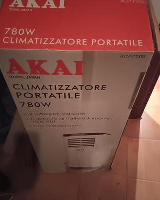 Condizionatore portatile