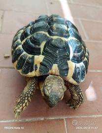 Diamo un giardino ha 5 anni