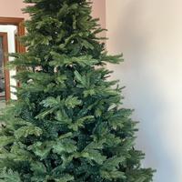 Albero di natale