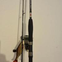 Canna da spinning Penn Silver Cat