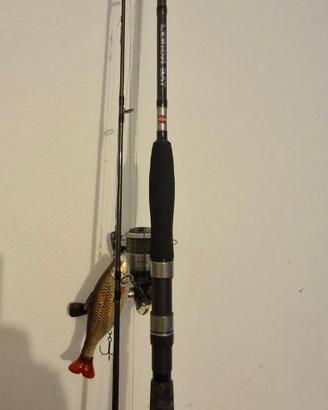 Canna da spinning Penn Silver Cat