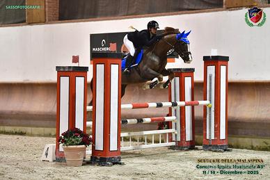 Cavallo