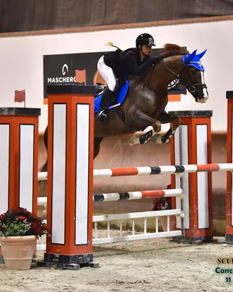 Cavallo