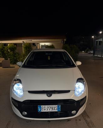 FIAT PUNTO EVO