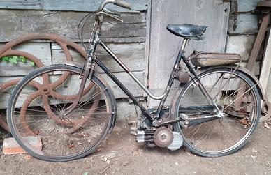 bicicletta donna con mosquito 38 A 