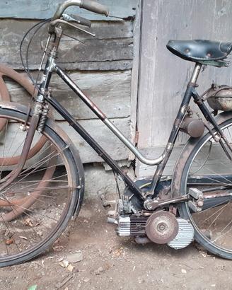 bicicletta donna con mosquito 38 A 