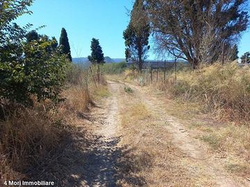 Terreno Loc- Tuerra Manna mq. 2115