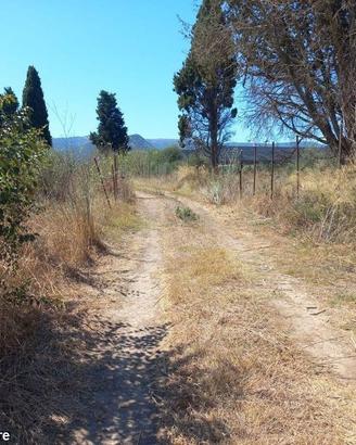 Terreno Loc- Tuerra Manna mq. 2115